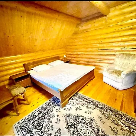 Hotel з видом на говерлу та петрос 4*